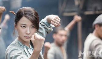 英雄有梦演员表,实力派明星齐聚一堂，共筑传奇故事